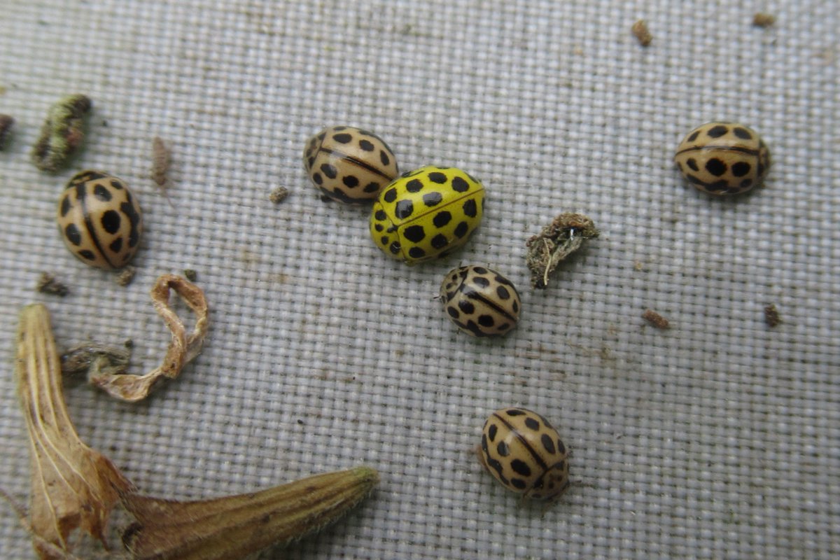 Andrew Jewels tweet media