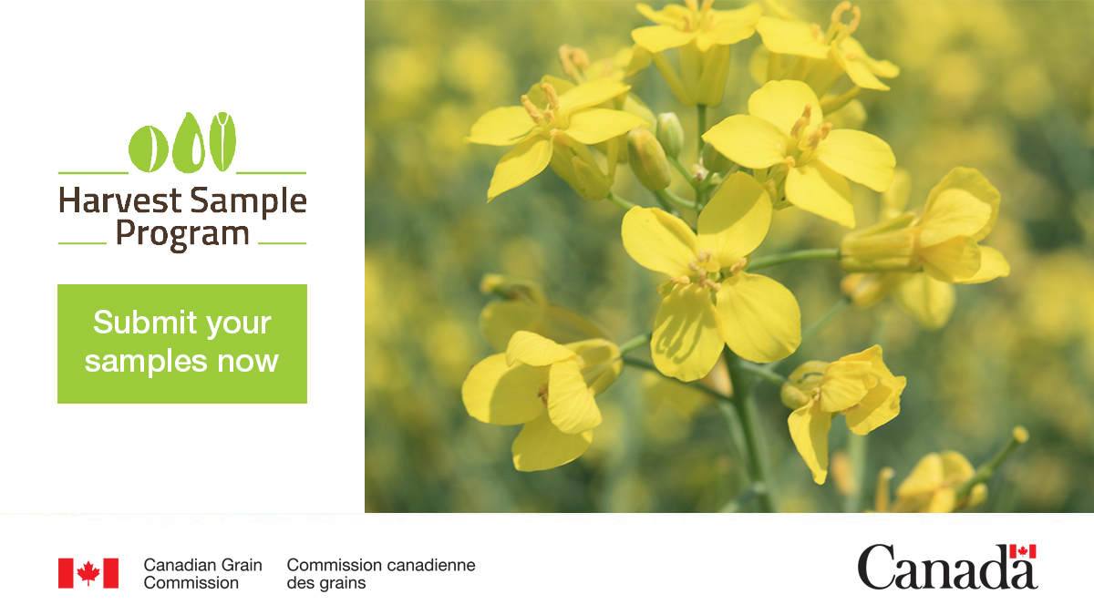 Canadian Grain Commission tweet media