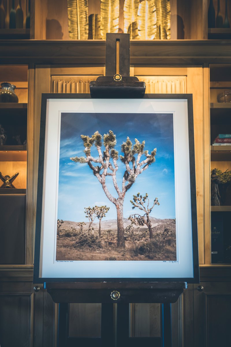 The Joshua Tree I by Sean Sheridan artcloud.market/art/4761552
