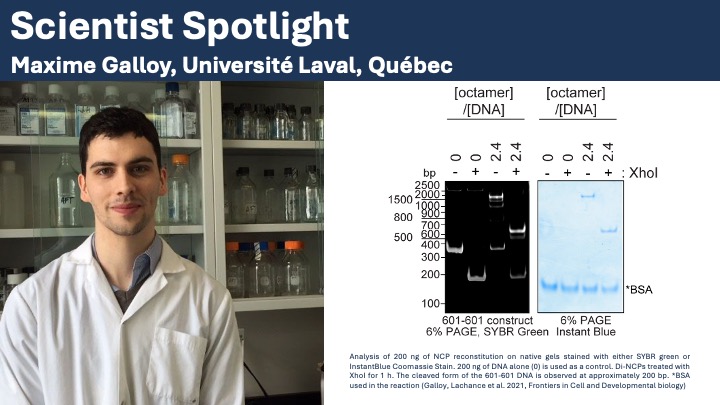 Canadian Epigenetics (@ceehrc) on Twitter photo Today, we spotlight PhD student Maxime Galloy from @AmelieFT lab at <a href="/universitelaval/">Université Laval</a>!
Learn more about him and his research ahead of his upcoming presentation on November 15.
thisisepigenetics.ca/about-epigenet…
#thisisepigenetics #ceehrc #epigenetics #epigenomics Today, we spotlight PhD student Maxime Galloy from @AmelieFT lab at <a href="/universitelaval/">Université Laval</a>!
Learn more about him and his research ahead of his upcoming presentation on November 15.
thisisepigenetics.ca/about-epigenet…
#thisisepigenetics #ceehrc #epigenetics #epigenomics