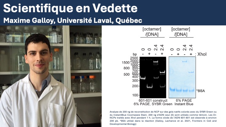 Canadian Epigenetics (@ceehrc) on Twitter photo Aujourd'hui, nous mettons en lumière le doctorant Maxime Galloy du laboratoire @AmelieFT à <a href="/universitelaval/">Université Laval</a>!
Découvrez-en plus sur lui et ses recherches avant sa prochaine présentation le 15 novembre.
thisisepigenetics.ca/fr/about-epige…
#thisisepigenetics #ceehrc #epigenetics #epigenomics Aujourd'hui, nous mettons en lumière le doctorant Maxime Galloy du laboratoire @AmelieFT à <a href="/universitelaval/">Université Laval</a>!
Découvrez-en plus sur lui et ses recherches avant sa prochaine présentation le 15 novembre.
thisisepigenetics.ca/fr/about-epige…
#thisisepigenetics #ceehrc #epigenetics #epigenomics