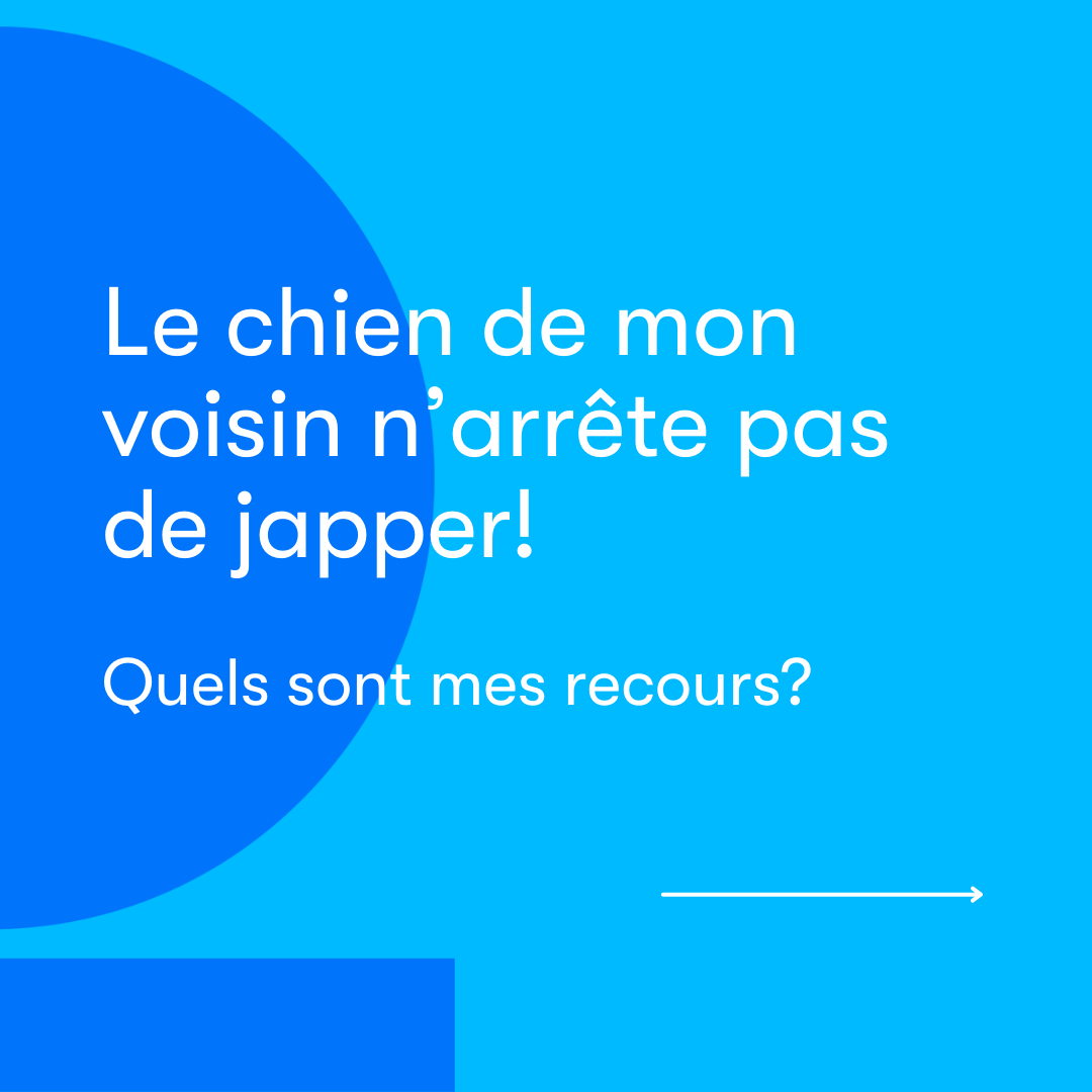 JuridiQc's tweet photo. Le chien de mon voisin n’arrête pas de japper!
Quels sont mes recours? https://t.co/LArSyps313 https://t.co/gNcaqkNzwc