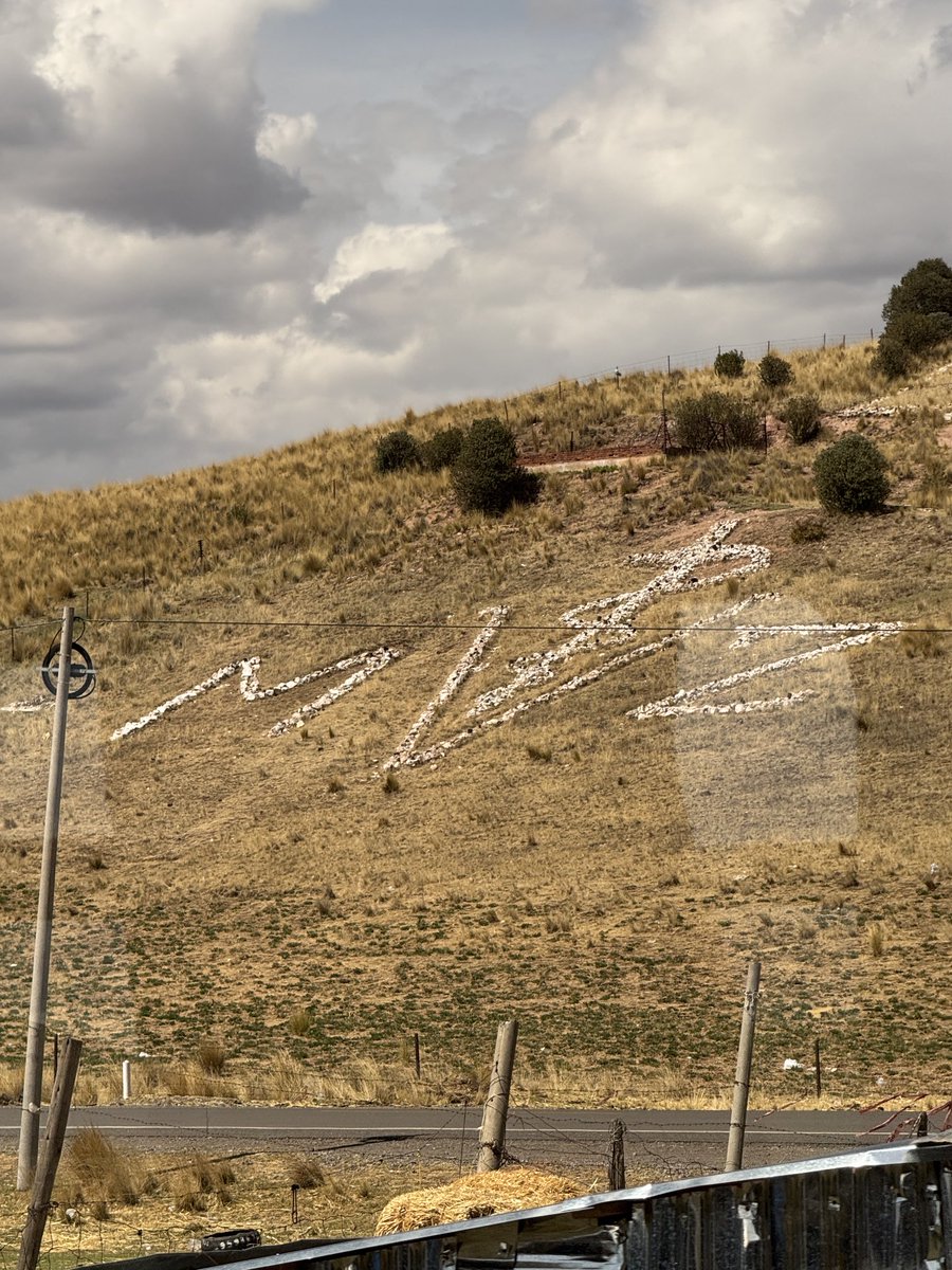 Maureen Van Zandt tweet media