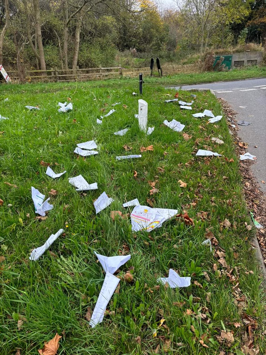 Sheffield Litter Pickers tweet media