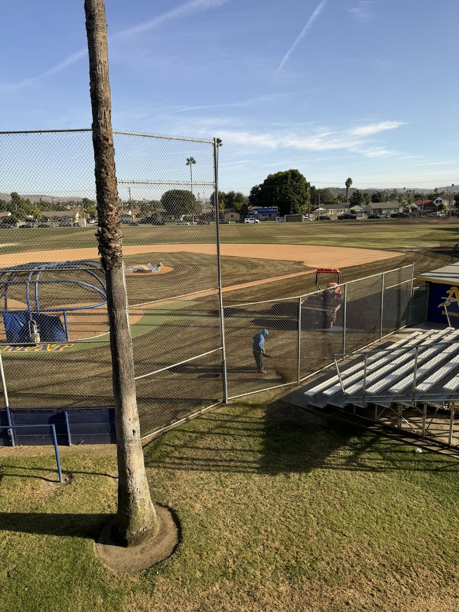 Bishop Amat Baseball tweet media