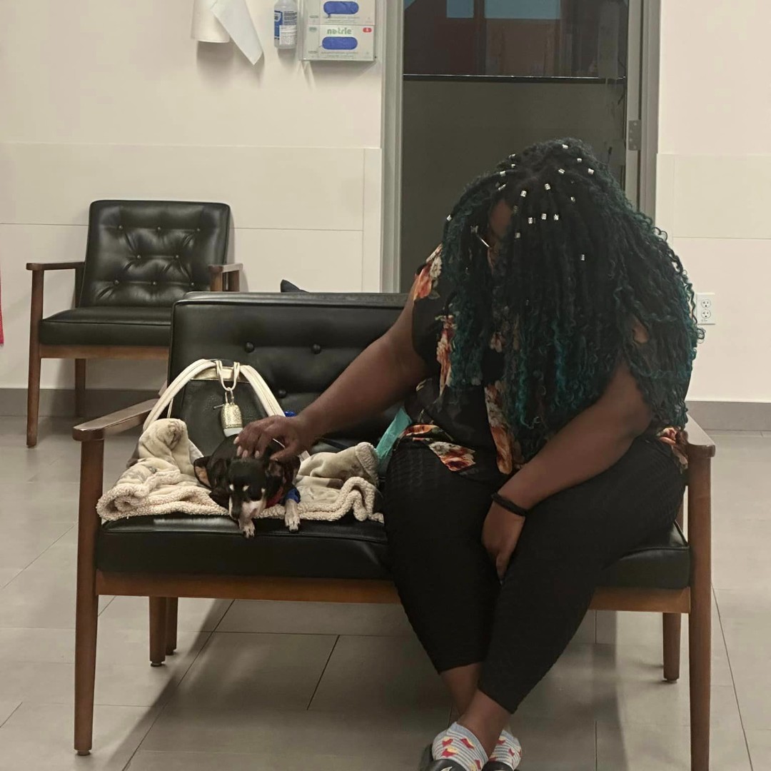 VEGERforpets's tweet image. Riley came in due to a vaccine reaction but other than that he’s doing swell...no pun intended. 🤣

Riley is feeling much better after his Benadryl injection! ❤️‍🩹 

📍VEG Las Vegas, NV

#vegolution #pethospital #dog