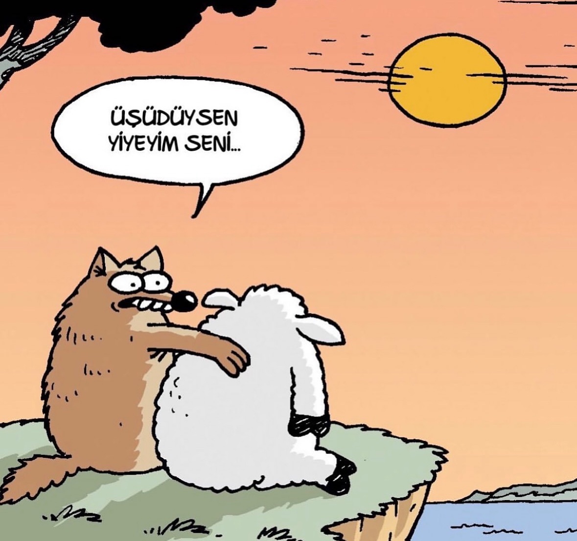 Hunili başkan (@hunilibaskan) on Twitter photo 