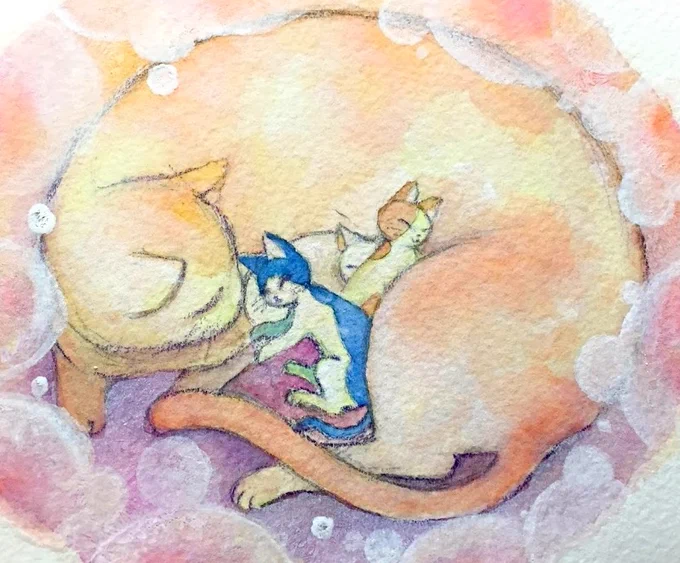 タマは最初はぼっちじゃなくて親猫たちが移動した時うっかりついていけなかった残念な子タマぬくぬくの記憶 #かぎしっぽのタマ 