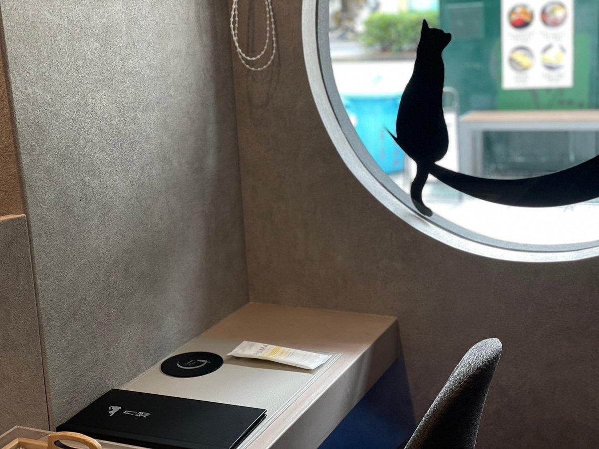 月*猫様 月猫 ヴィーガンカフェ月猫 11時よりオープンです。 22時まで、ご来店お待ち