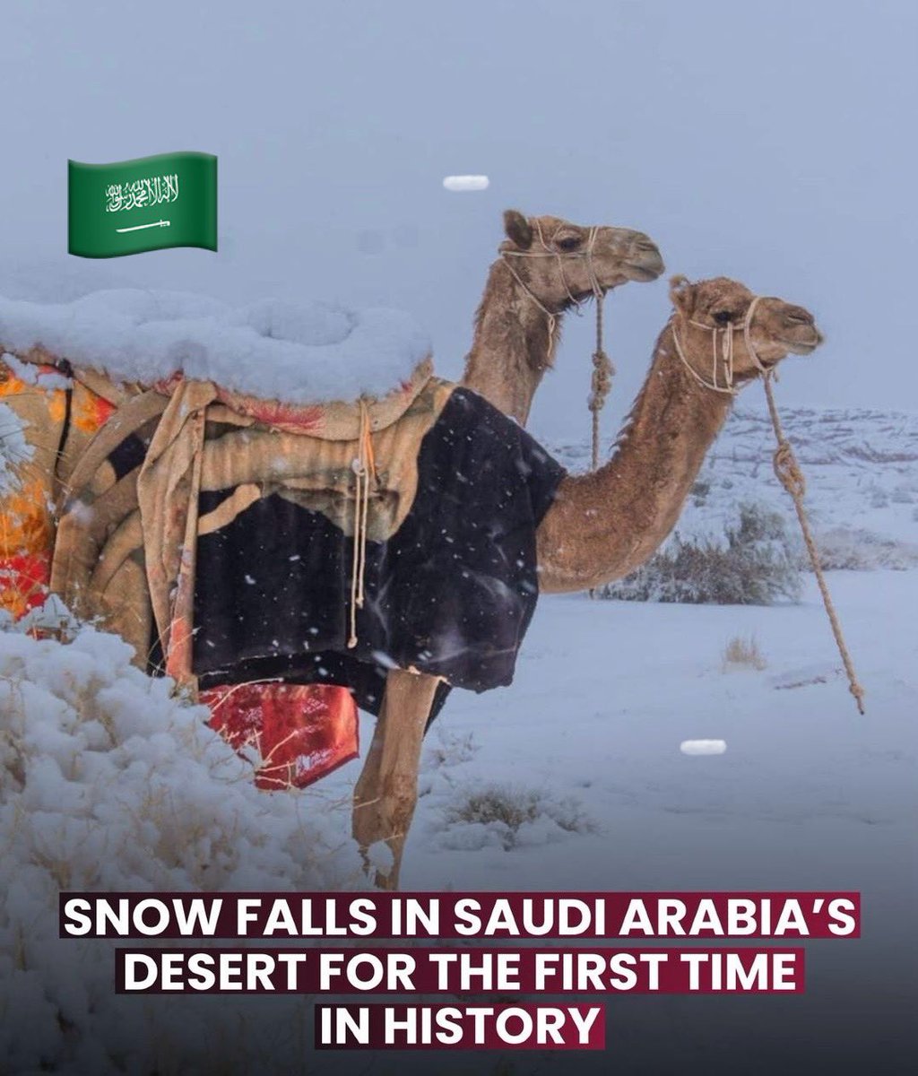 MissFatina's tweet image. 🇸🇦  SNOW FALLS IN SAUDI ARABIA'S DESERT FOR THE FIRST TIME IN HISTORY! ❄️❄️❄️❄️❄️

Saudi Arabia's Al-Jawf region witnessed an extraordinary sight, as snowfall blanketed its desert for the first time on record, following heavy rain and hailstorms.

A unique weather pattern brought…