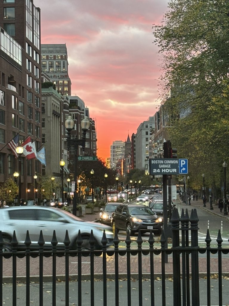 Mareike Lehmann tweet media