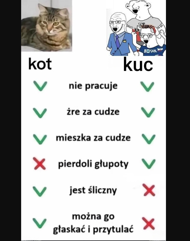 KrakowZPB's tweet image. #kitku #kot #koty #konfederacja #konfiarze #onuce #kuce