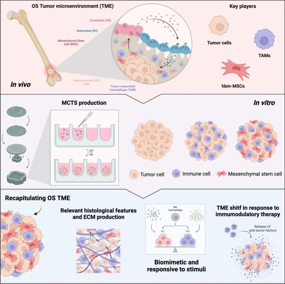 J Controlled Release tweet media