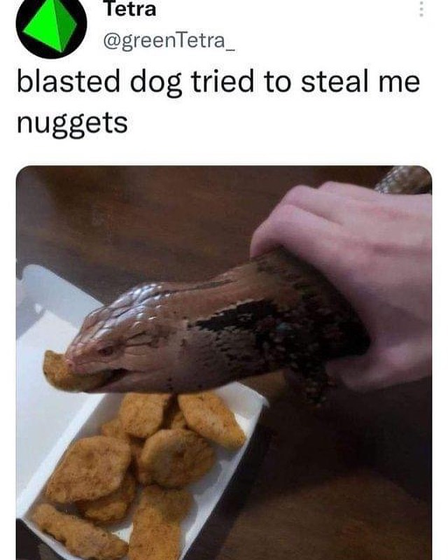 i like food tweet media