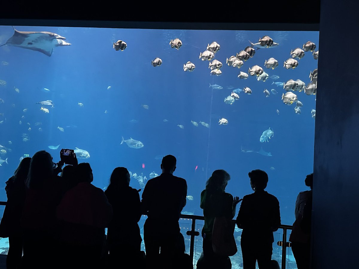 mego17's tweet photo. #AAMC24 wonderful night at Atlanta Aquarium! https://t.co/i8ZMFeeLcs