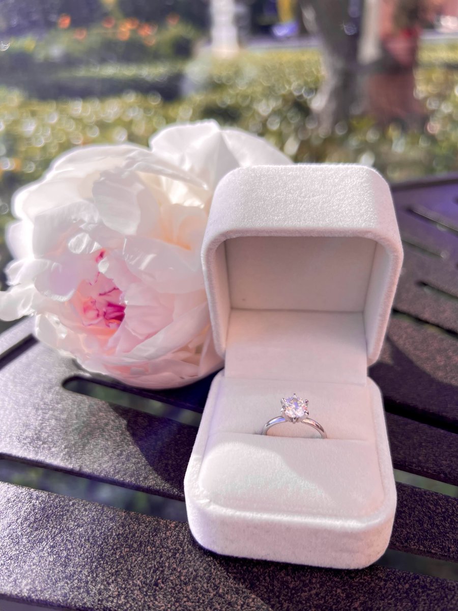 Peoni🔜NikuFes tweet media