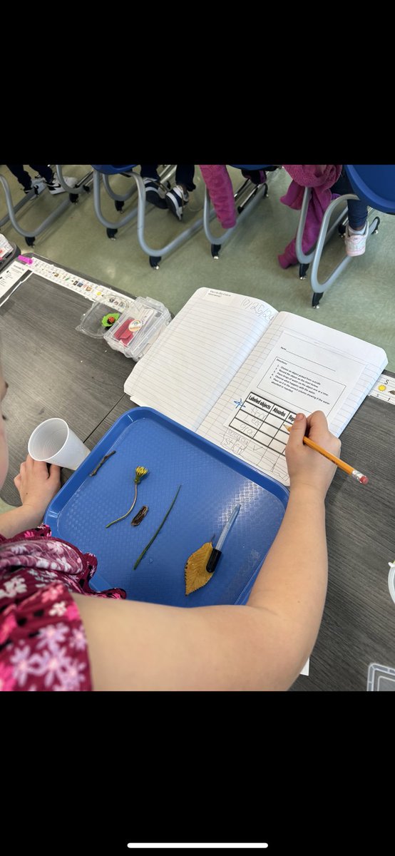 Jonelle Michlovitch tweet media