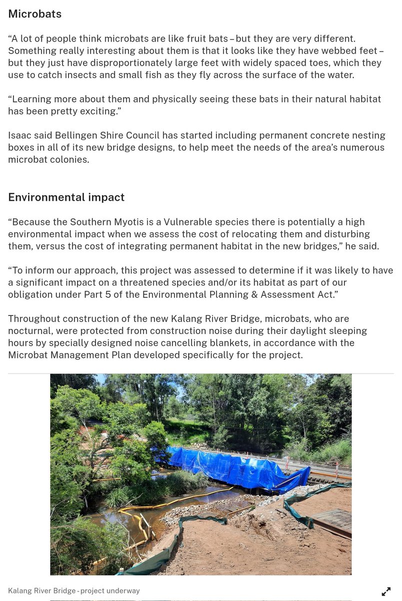 Bats_Rule's tweet photo. Tiny mammal homes preserved on Bellingen bridge project https://t.co/ySY6sp5u4L https://t.co/r0R19PAHxz