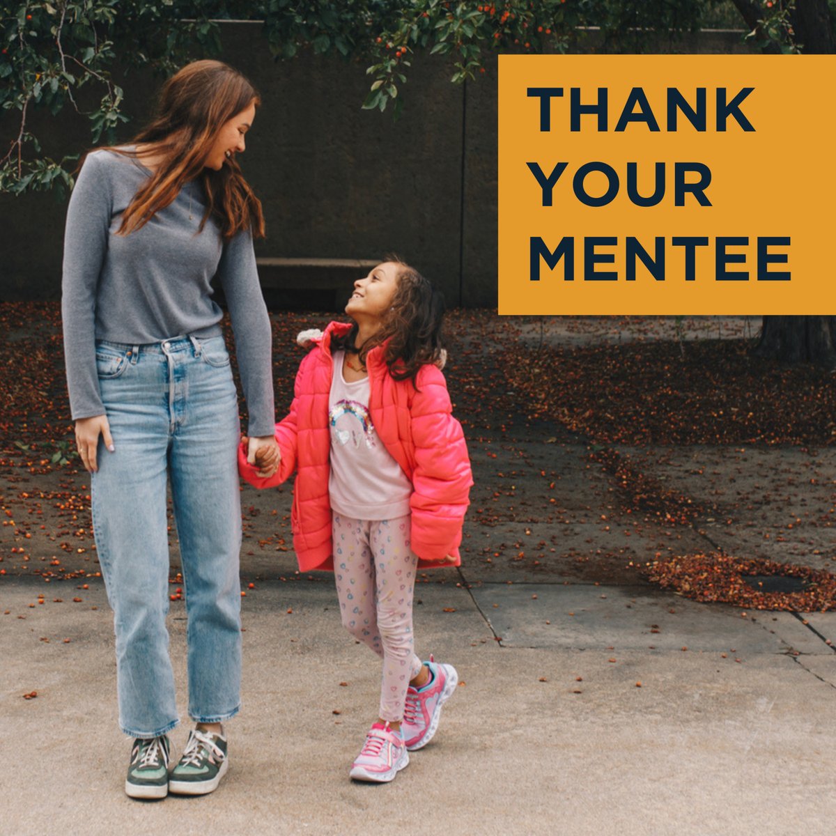 All In Mentoring tweet media