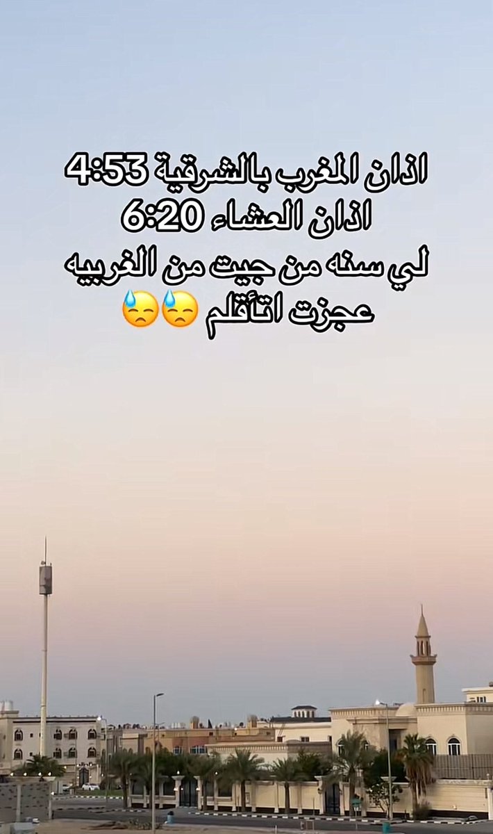 صيتا . tweet media
