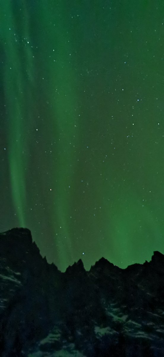 Always look outside before going to bed! #northernlights #norway