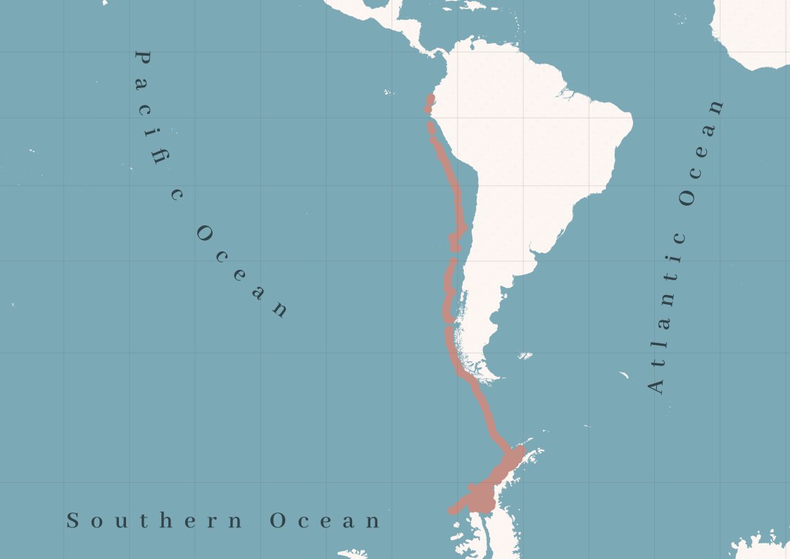 Lovsky_S's tweet photo. #30DayMapChallenge 🗺️           

Day 7: Vintage 

Humpback whale migratory cycle from 2012 from the paper: https://t.co/UHaLWtcaxa

#map #cartography #dataviz #Qgis #whale https://t.co/AgDjwBVMXF