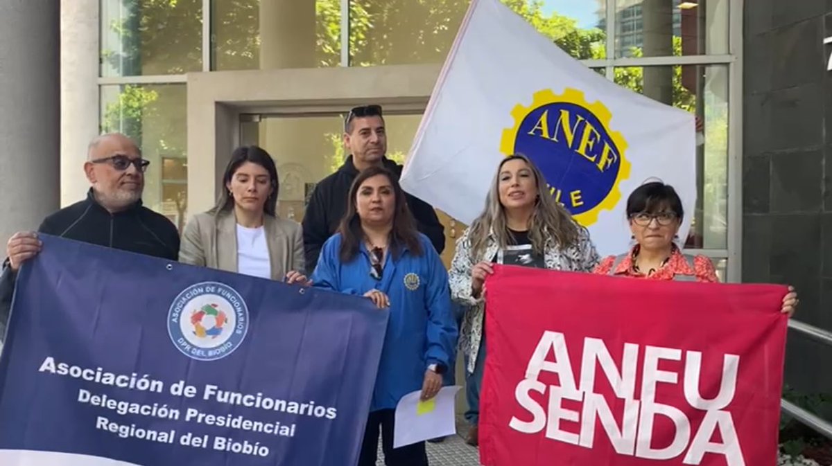 #ANEFBiobio tweet media