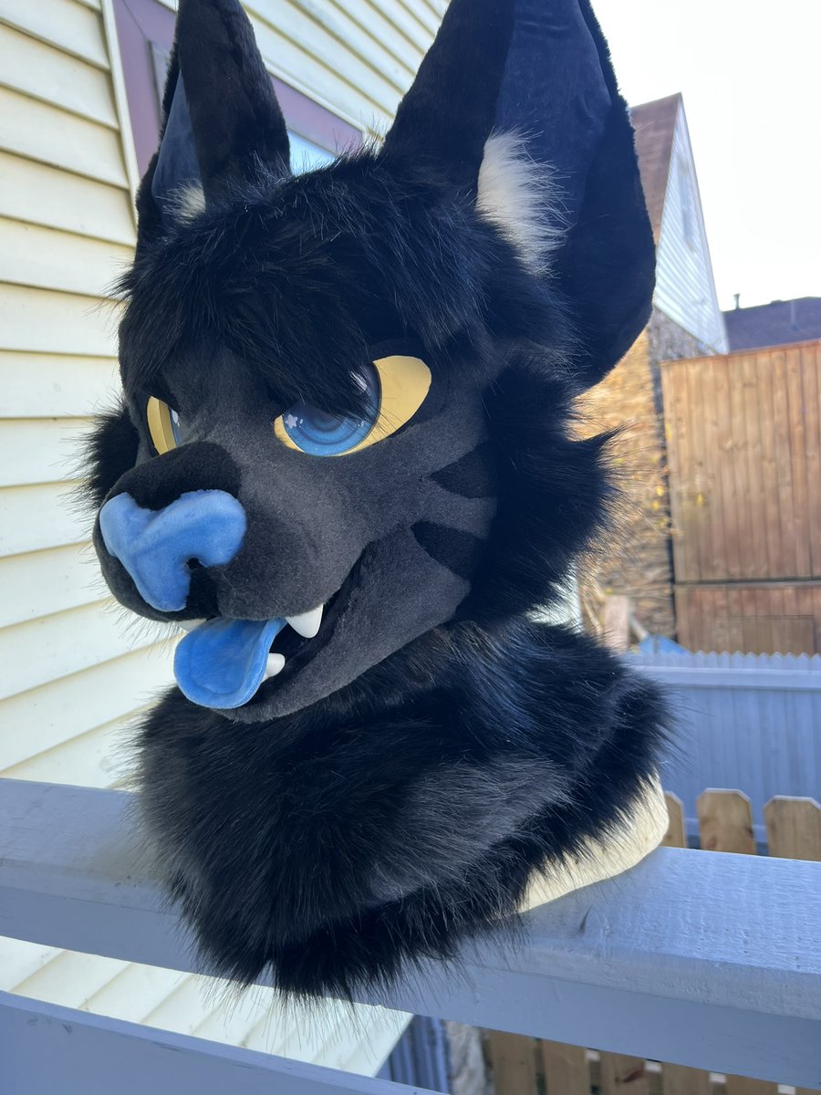 Lily Moon suits tweet media