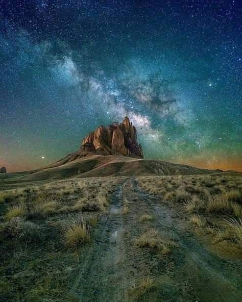 “It is not in the stars to hold our destiny but in ourselves.“

 William Shakespeare