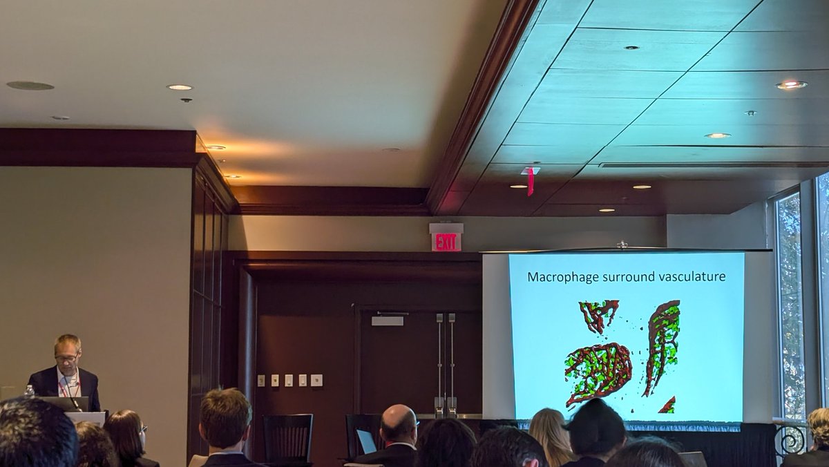 <a href="/Kubes_Lab/">kubeslab</a> uses cool imaging techniques to follow immune cells in the gut! "Leader" immune cells guide "follower" immune cells and both are needed to promote healing in the gut.🔬👨🏼‍🔬 #IBDminds2024