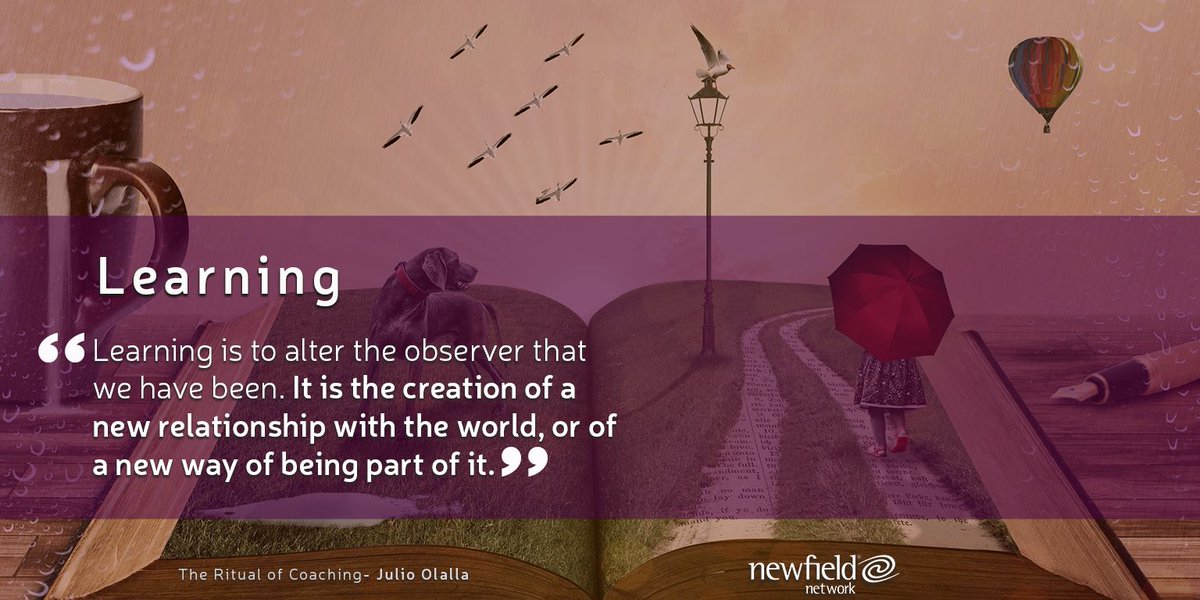 Newfield (@newfieldnetwork) on Twitter photo 