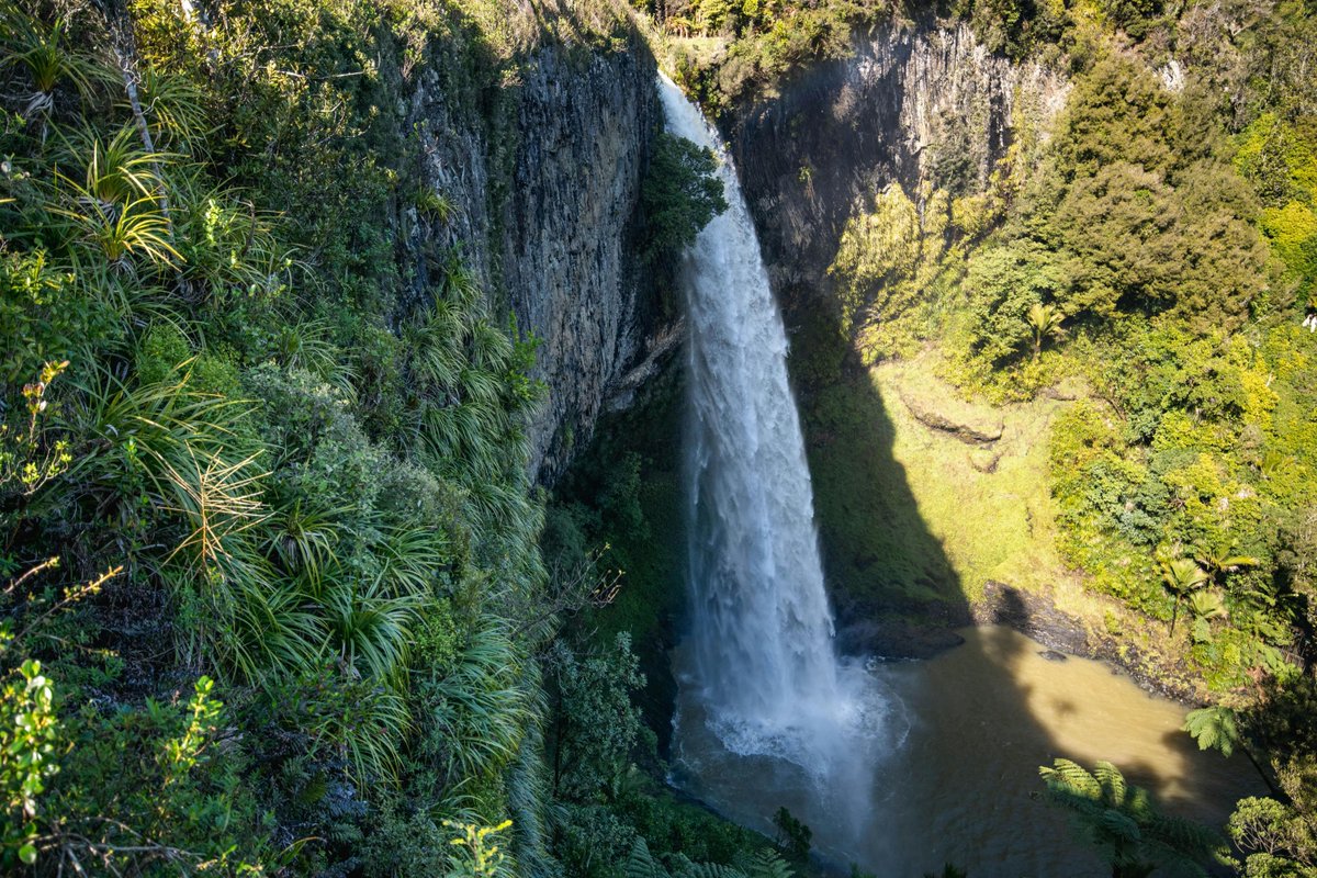NZ Wilderness tweet media