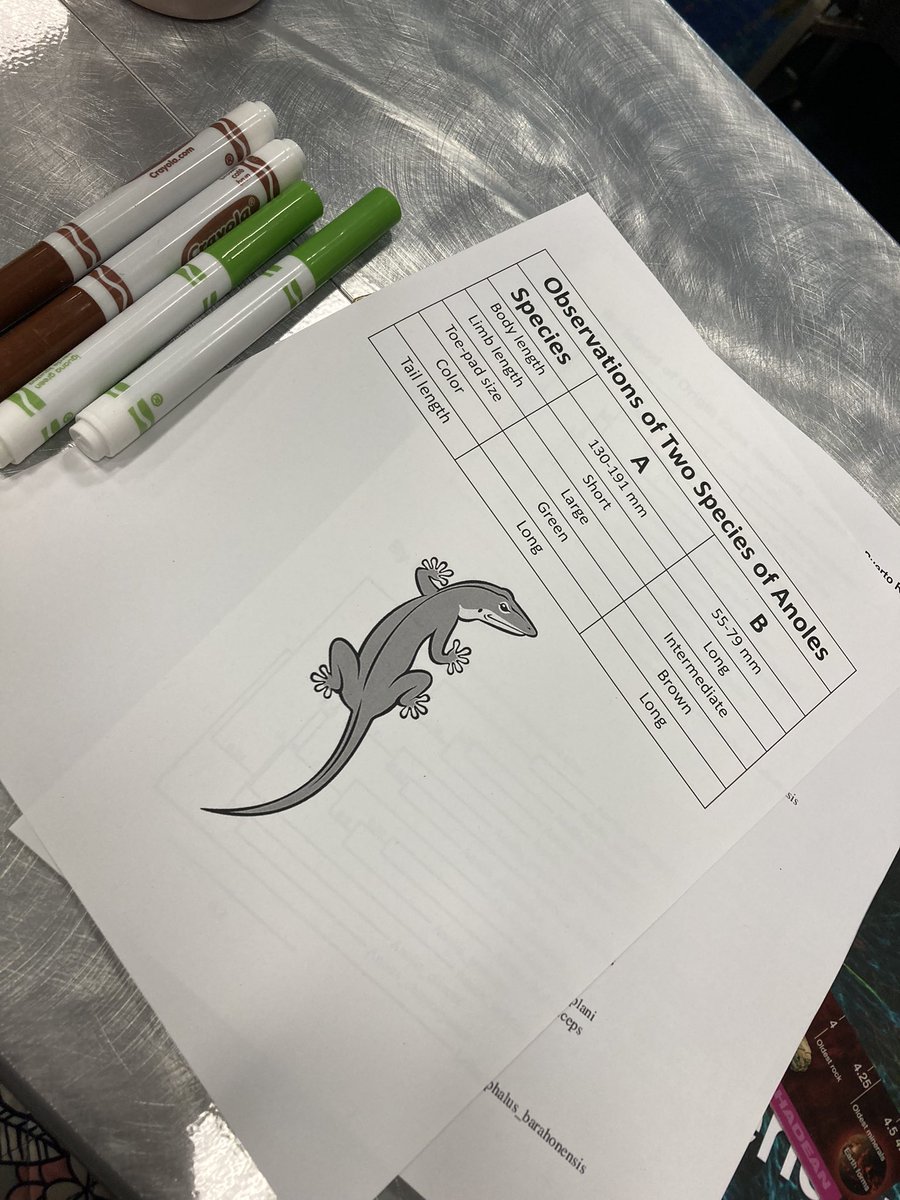 Stamant27's tweet photo. Loved this activity and enjoyed learning a different approach. Excellent presenters!! #NSTAFall24 @BIOINTERACTIVE https://t.co/ArVGuUvF6R