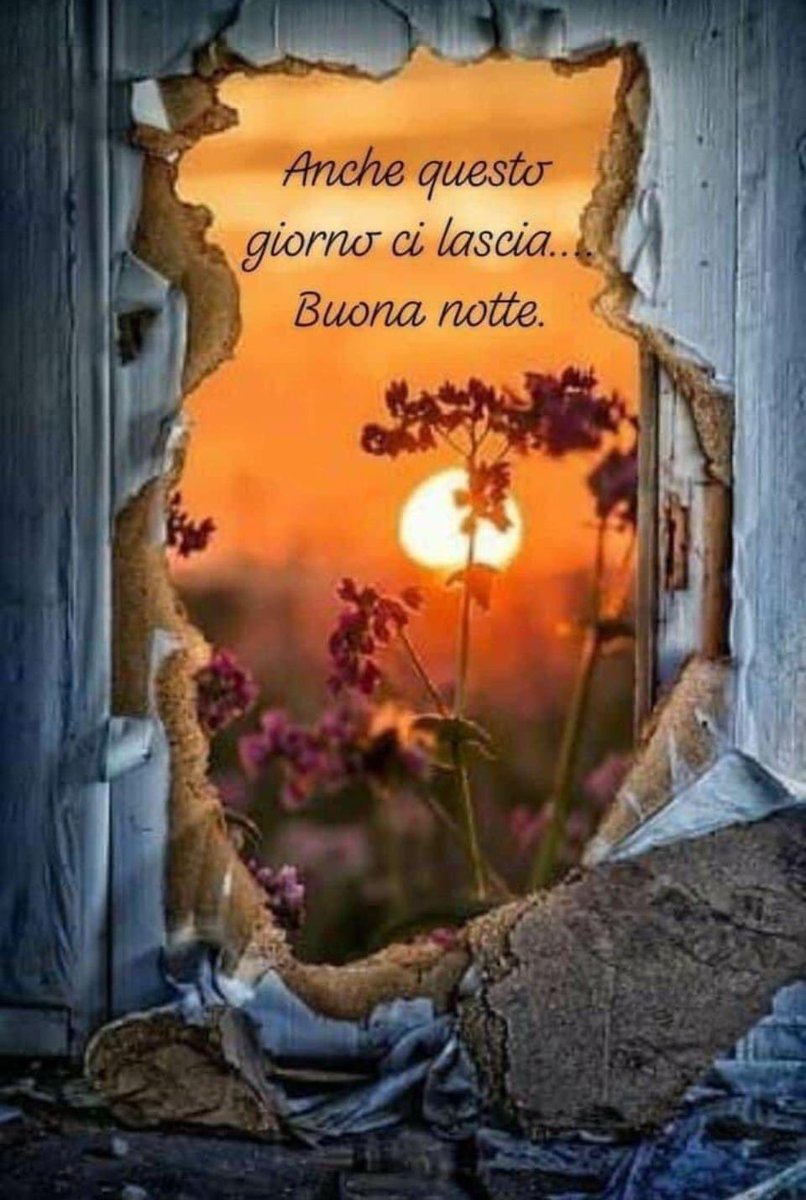 RITABIANCHi56 tweet media