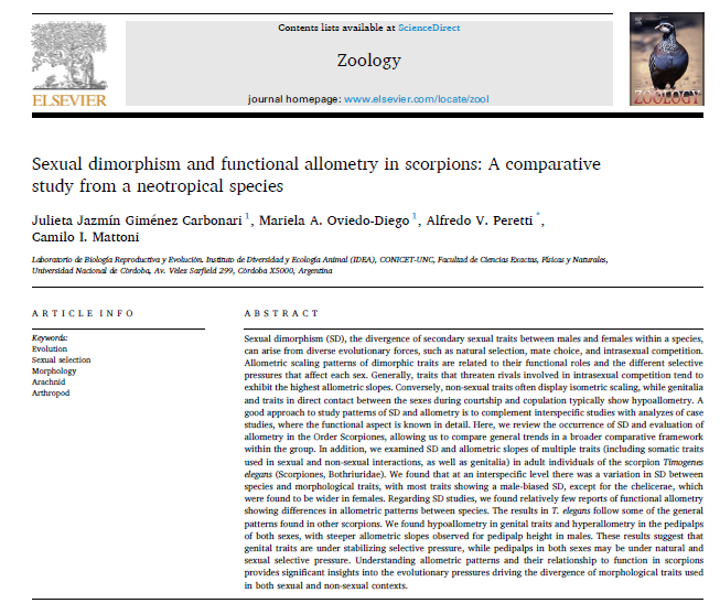 MarielaOviedoD1's tweet photo. If you're interested about the patterns of sexual dimorphism &amp; allometry in scorpions, and the selective forces behind them, check out our latest paper https://t.co/QOaWZn7QPQ. Led by J. Giménez-Carbonari and @CamiloMattoni, with cover featuring a photo by @Aranias_Arg 🦂#Zoology https://t.co/ZBBGQhFBhJ