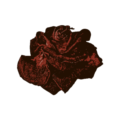  충의 . tweet media