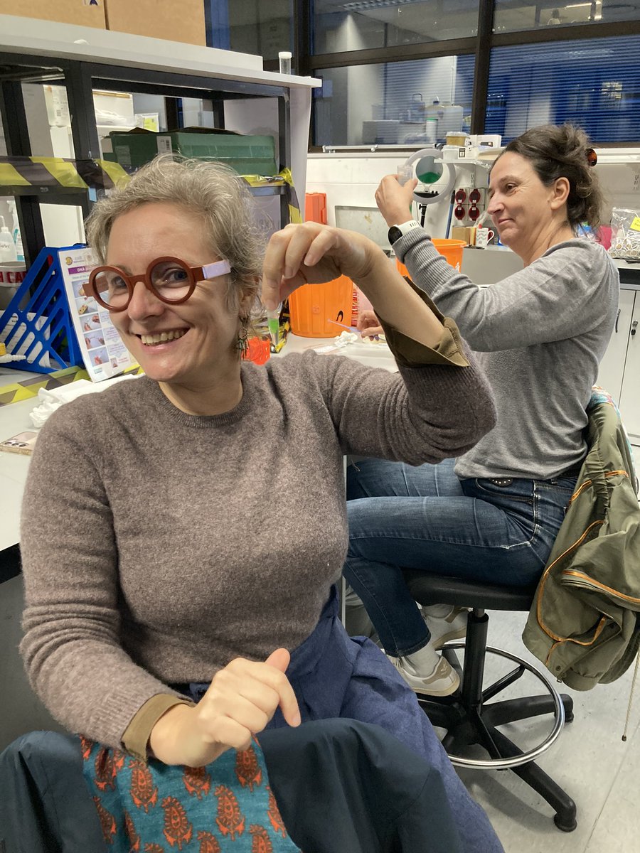 Cell EXPLORERS tweet media