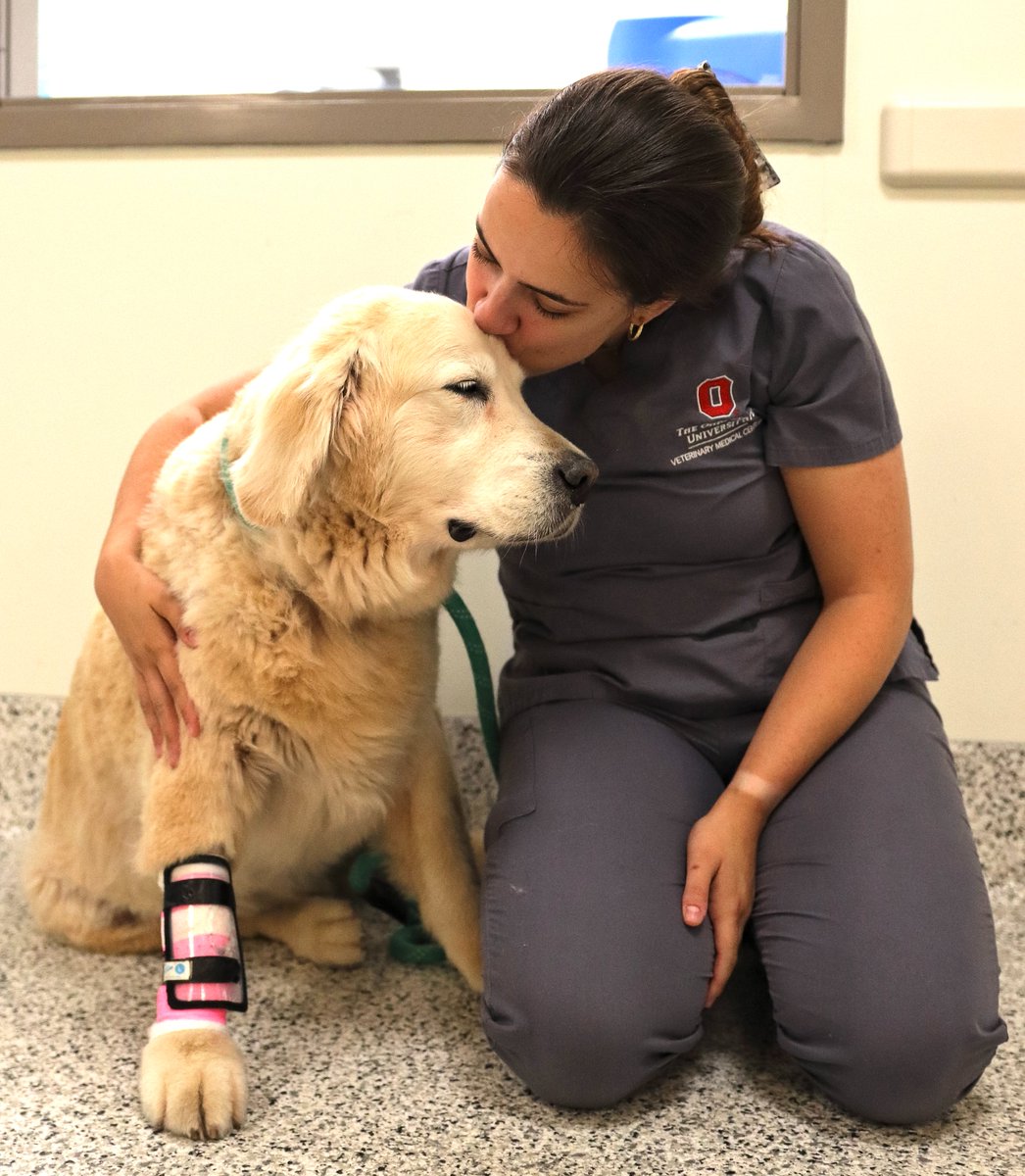 OSUVetCollege's tweet photo. We are deeply saddened by the passing of Ben Herbstreit, beloved member of the Herbstreit family. Ben’s loss touches all of us at Ohio State, where we had the privilege of caring for him. Ben’s gentle spirit touched so many lives. We are so sorry for your loss @KirkHerbstreit. ❤️ https://t.co/OIxiFpODpC
