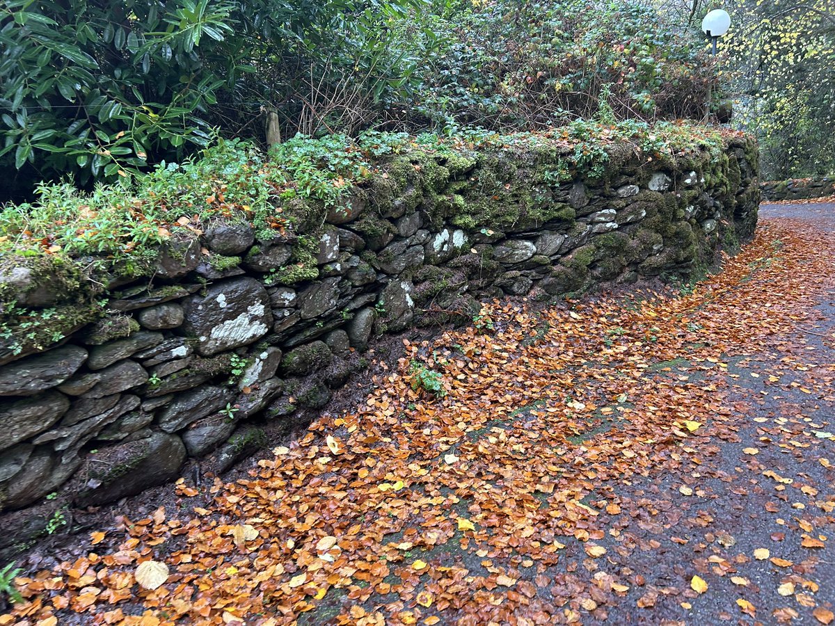 Pamela Deasy #PPIE Advocate 💜 tweet media