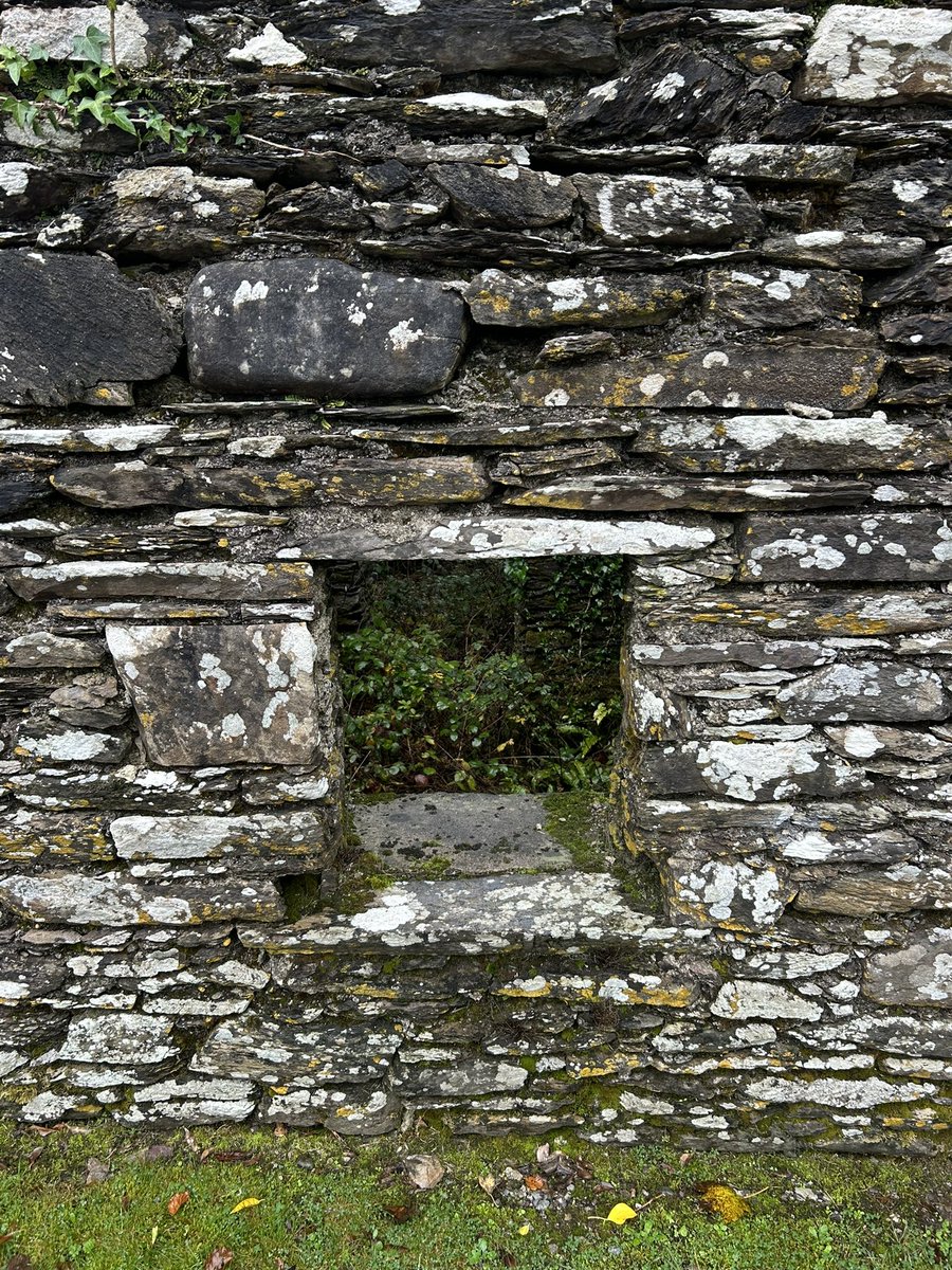 Pamela Deasy #PPIE Advocate 💜 tweet media