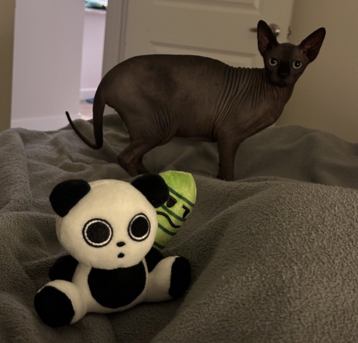 Handi Danz tweet media