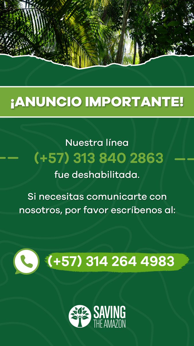 Saving The Amazon tweet media