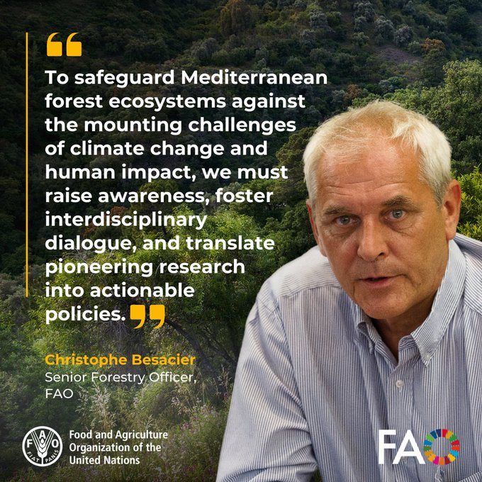 UNBiodiversity's tweet photo. To safeguard Mediterranean forest ecosystems against #ClimateChange & human impact we must raise awareness, foster interdisciplinary dialogue & translate research into actionable policies, @FAO's Christophe Besacier (@CBesacier18) tells 8th #MedForestWeek
via @FAOForestry https://t.co/vpbex7TX5F