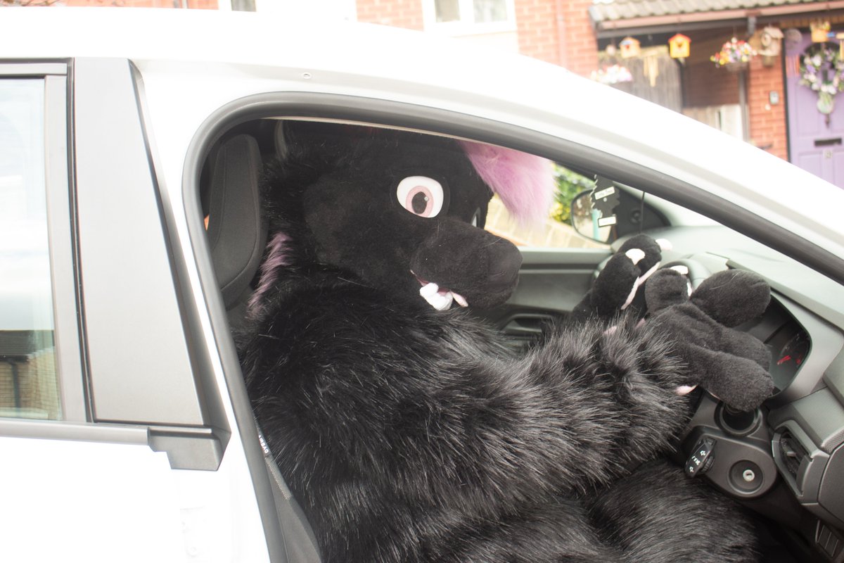 Whos ready for <a href="/Furcationevent/">Furcation</a> ! I sure am and not xD fun time for 2 week stress time! #FursuitFriday #fullsuit #furry