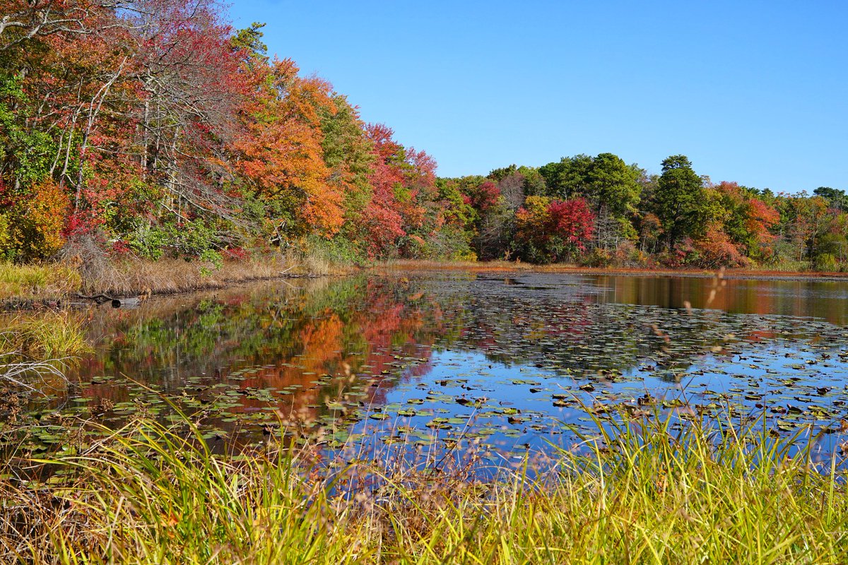 KarissasKapture's tweet photo. Happy FriYaY Friends! It's been a long week! Take time to yourself this weekend and do things that make you happy!
#KarissasKaptures #FallLeaves #FallLandscapes #fallismyfavoriteseason #FallColors #Reflection #reflectionphotography #Sonya6000 #SonyCamera #sonyphotography https://t.co/GDzWtuiwky