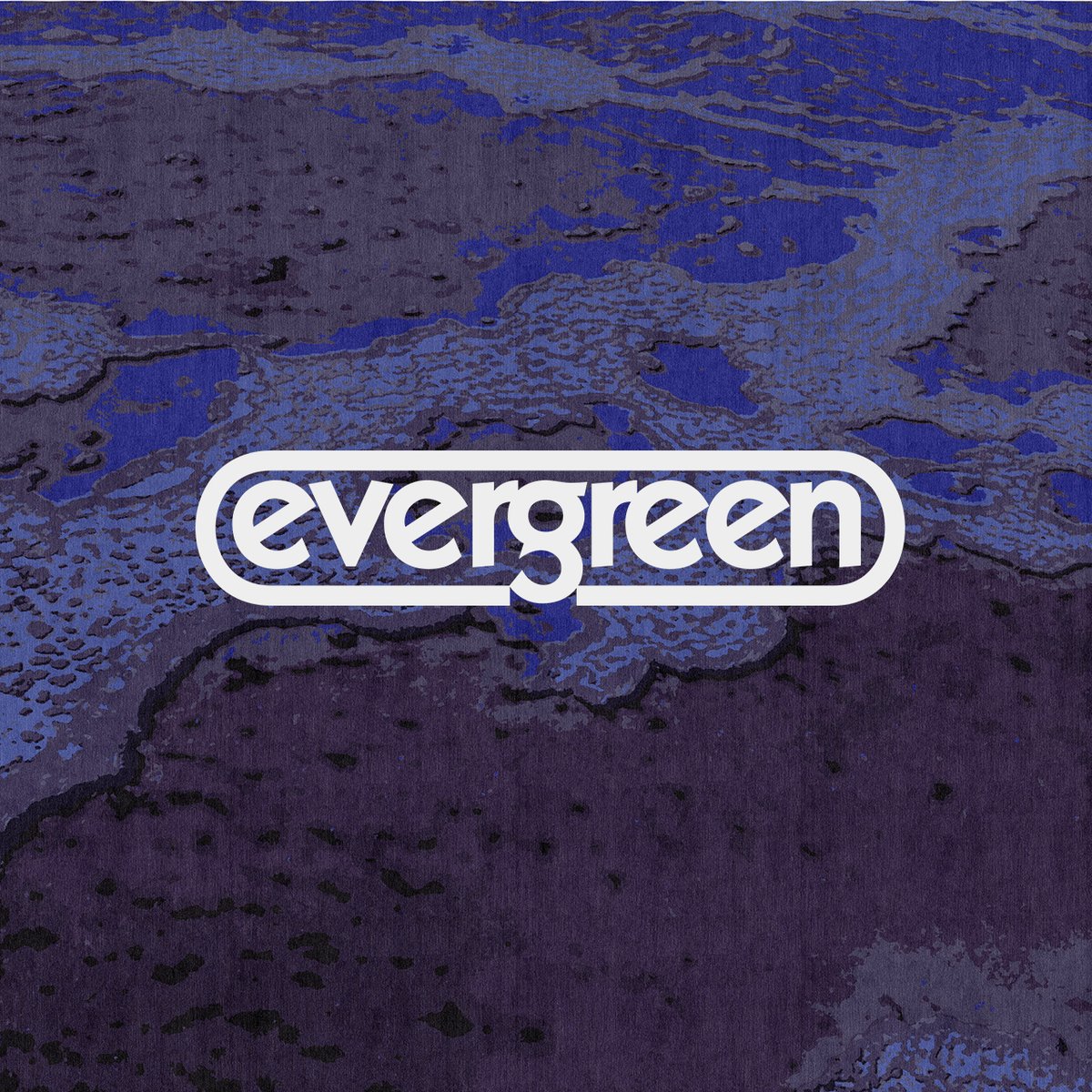 The Evergreen Review tweet media