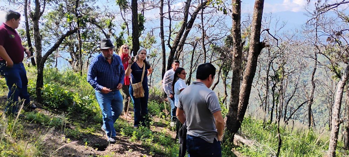 Iokiñe Rodríguez (@iokirod) on Twitter photo Such an educational experience to visit case of community fire management in Ixtlán, Oxaca, México, last Wednesday, with my colleague <a href="/RachelCarmenta/">Rachel Carmenta</a> Thanks to Salvador Anta from Ceiba for taking us, and to members of the government of Ixtlán, Usachi and Conafor for joining Such an educational experience to visit case of community fire management in Ixtlán, Oxaca, México, last Wednesday, with my colleague <a href="/RachelCarmenta/">Rachel Carmenta</a> Thanks to Salvador Anta from Ceiba for taking us, and to members of the government of Ixtlán, Usachi and Conafor for joining