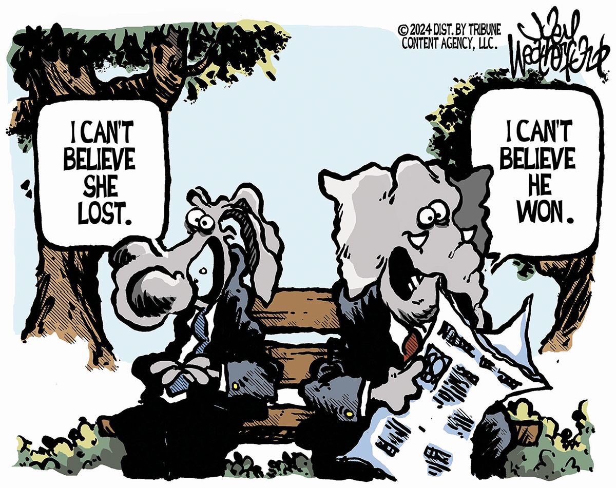 Edwin Shaffer tweet media