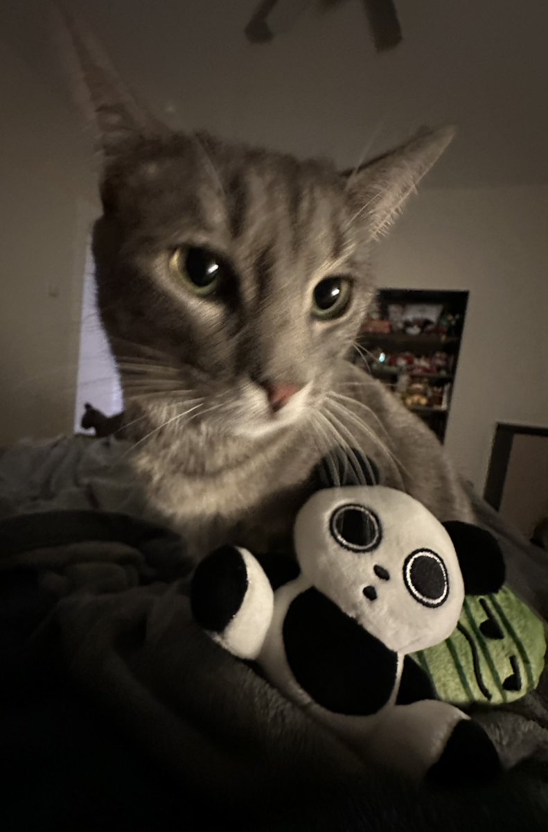 Handi Danz tweet media