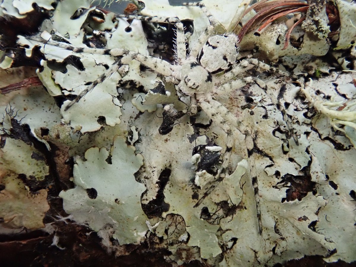 Tylan Berry tweet media